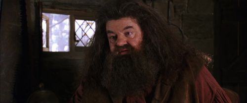 CS-Potterish_02811.jpg