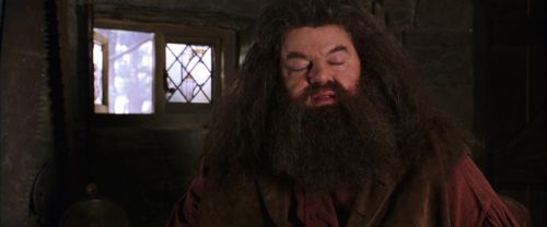 CS-Potterish_02812.jpg