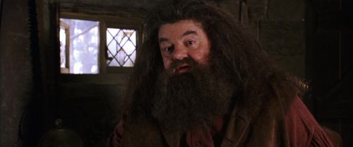 CS-Potterish_02814.jpg