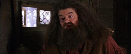 CS-Potterish_02815.jpg