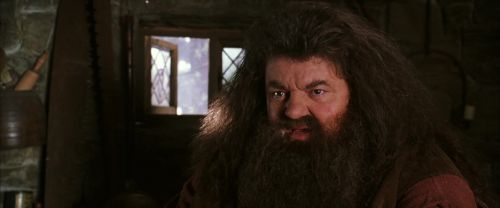 CS-Potterish_02827.jpg