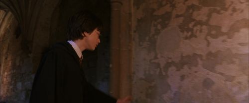 CS-Potterish_02941.jpg