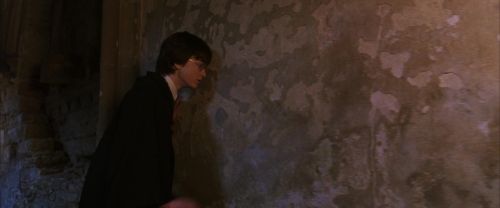 CS-Potterish_02943.jpg