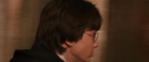 CS-Potterish_02953.jpg