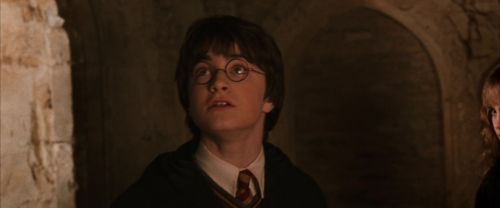 CS-Potterish_02961.jpg