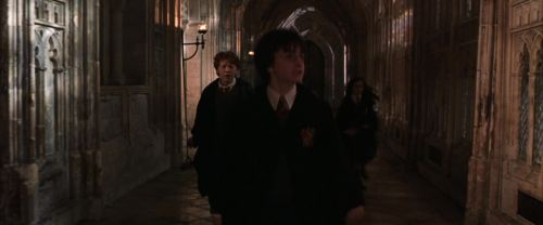 CS-Potterish_02991.jpg