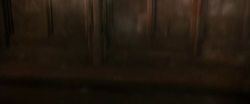 CS-Potterish_03025.jpg