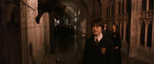 CS-Potterish_03048.jpg