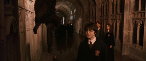 CS-Potterish_03049.jpg