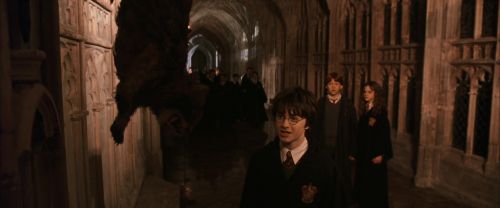 Click to view full size image
==============
CS-Potterish_03050.jpg CS-Potterish_03050.jpg