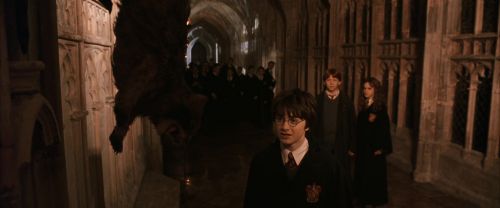 CS-Potterish_03051.jpg