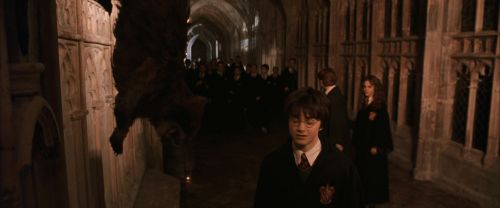 CS-Potterish_03052.jpg