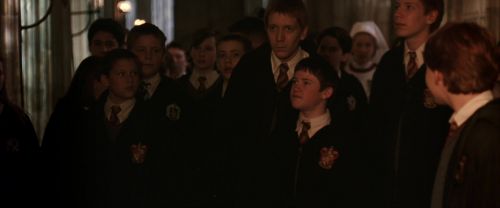 CS-Potterish_03061.jpg