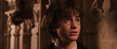 CS-Potterish_03095.jpg