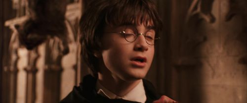 CS-Potterish_03107.jpg