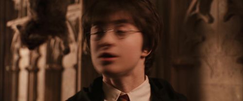 CS-Potterish_03110.jpg