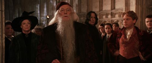 CS-Potterish_03118.jpg