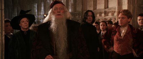CS-Potterish_03121.jpg