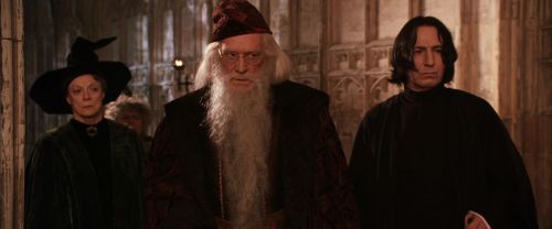 CS-Potterish_03149.jpg