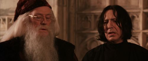 CS-Potterish_03169.jpg