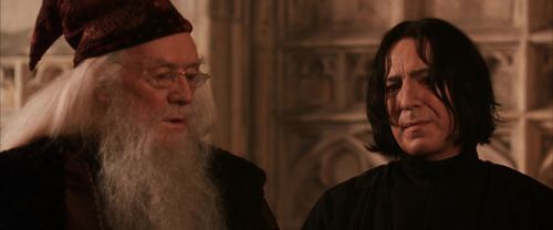CS-Potterish_03171.jpg