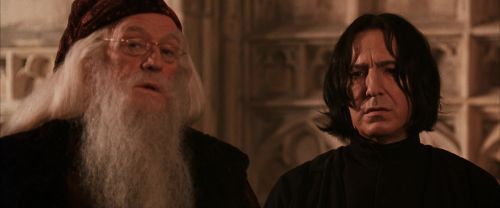 CS-Potterish_03178.jpg