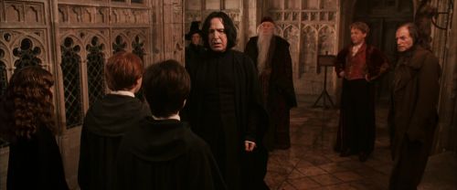 CS-Potterish_03187.jpg