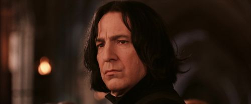 CS-Potterish_03195.jpg