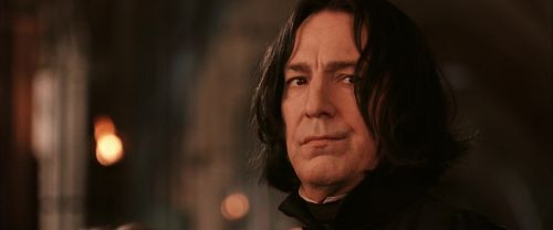 CS-Potterish_03222.jpg