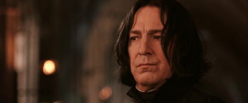 CS-Potterish_03223.jpg
