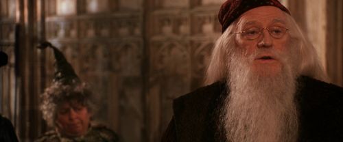 CS-Potterish_03234.jpg