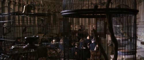 Click to view full size image
==============
CS-Potterish_03301.jpg CS-Potterish_03301.jpg