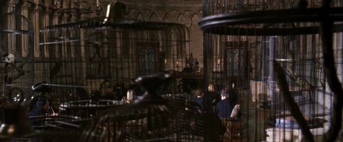 CS-Potterish_03302.jpg
