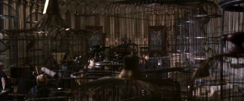 Click to view full size image
==============
CS-Potterish_03304.jpg CS-Potterish_03304.jpg