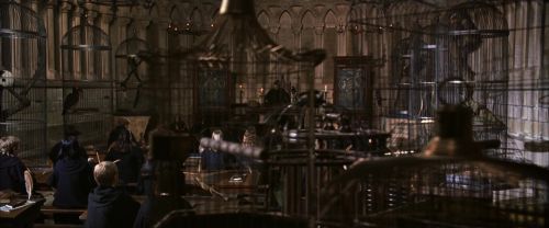CS-Potterish_03305.jpg