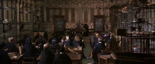 CS-Potterish_03307.jpg