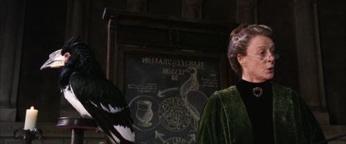 Click to view full size image
==============
CS-Potterish_03312.jpg CS-Potterish_03312.jpg