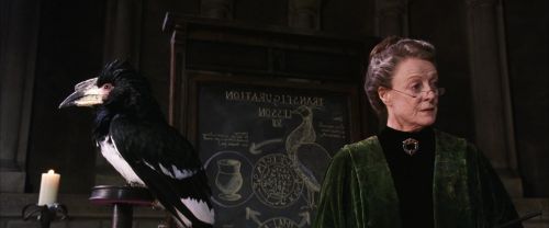 CS-Potterish_03313.jpg