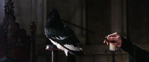 CS-Potterish_03318.jpg