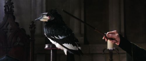 CS-Potterish_03319.jpg
