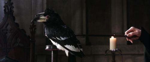 Click to view full size image
==============
CS-Potterish_03321.jpg CS-Potterish_03321.jpg