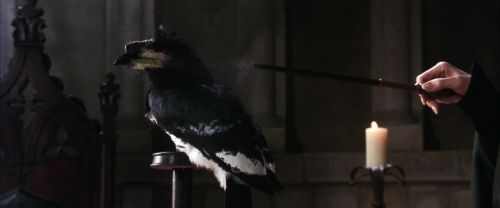 CS-Potterish_03322.jpg