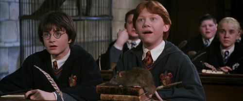 CS-Potterish_03325.jpg