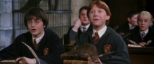 CS-Potterish_03326.jpg