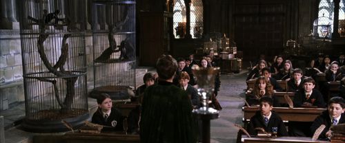 Click to view full size image
==============
CS-Potterish_03331.jpg CS-Potterish_03331.jpg