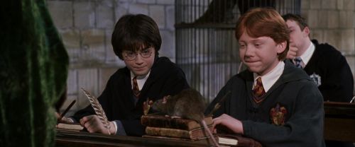 CS-Potterish_03338.jpg