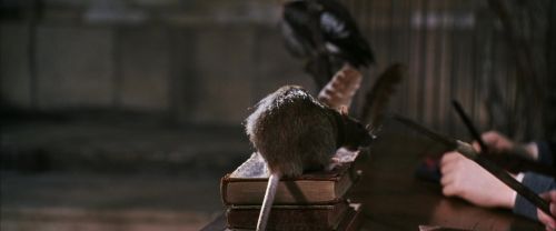 CS-Potterish_03342.jpg