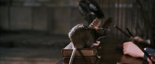 CS-Potterish_03343.jpg