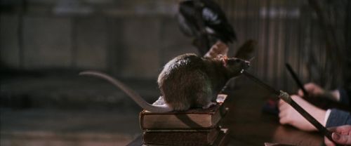 CS-Potterish_03344.jpg