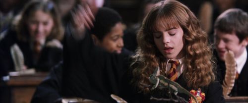 CS-Potterish_03355.jpg